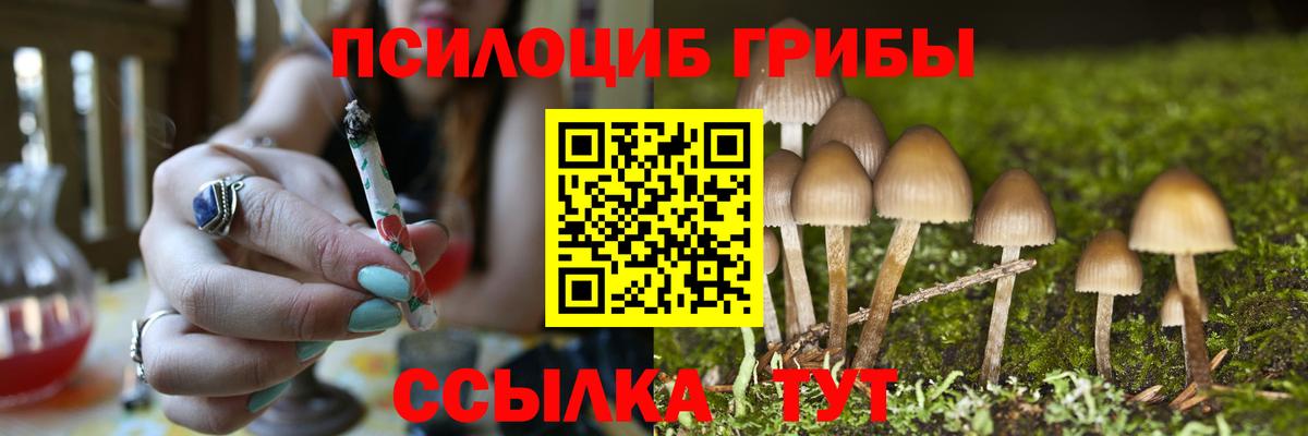 Искитим  Галлюциногенные грибы GOLDEN TEACHER  где можно купить наркотик  Вход с VPN  Галлюциногенные грибы ЛСД 